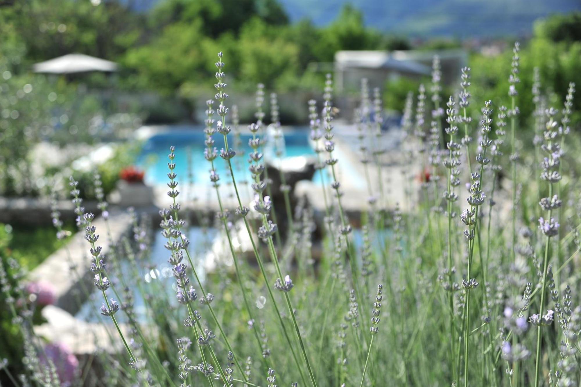 Pool House Maslina Leilighet Mostar Eksteriør bilde